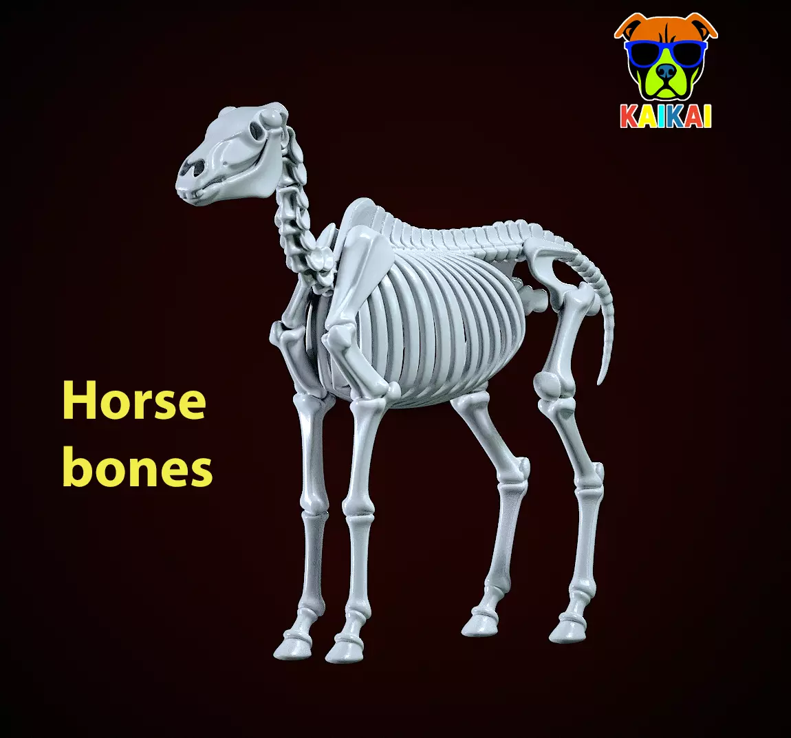 Decorative Horse Bones - Animal Bone Model - 3D print 3D print model