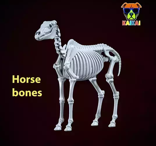 Decorative Horse Bones - Animal Bone Model - 3D print