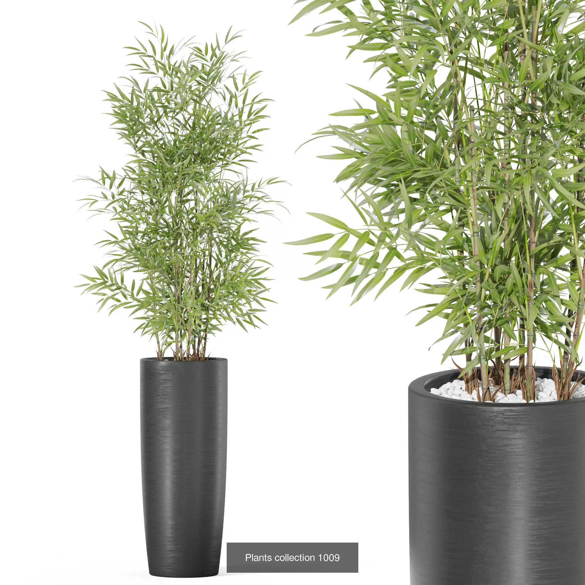 Plants collection vol 32 _7