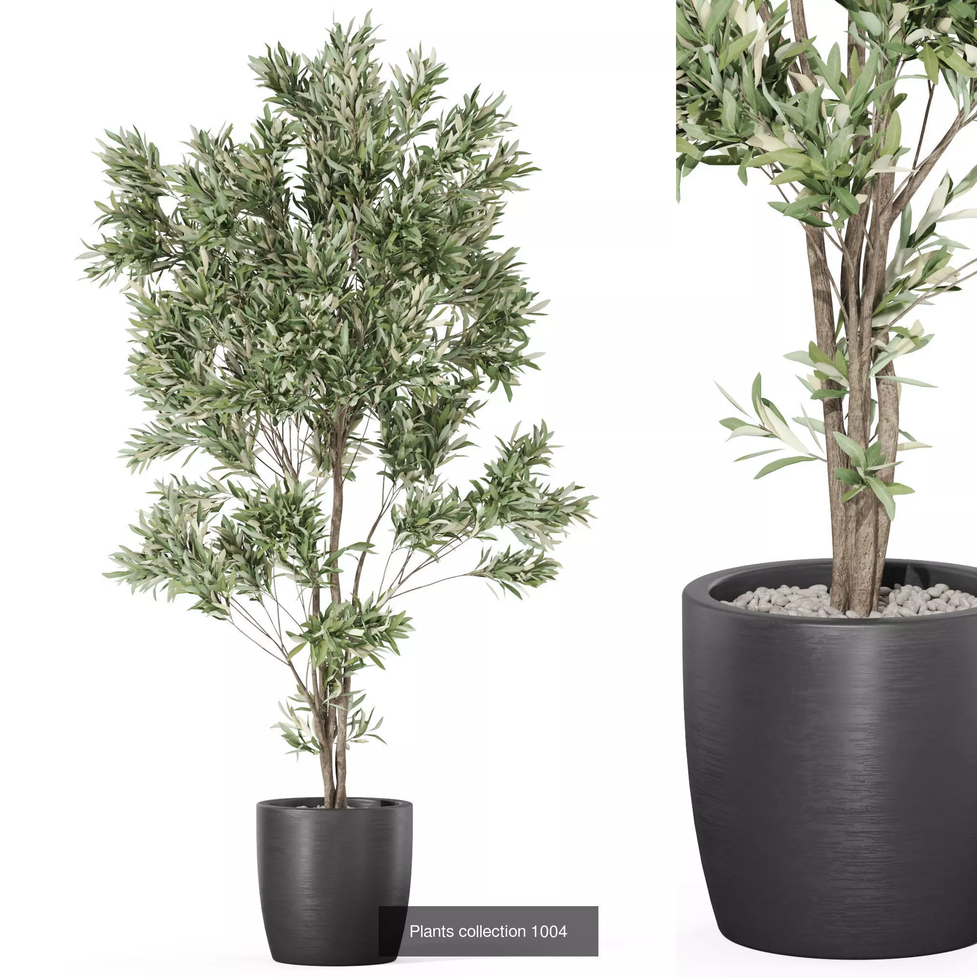 Plants collection vol 32 _2