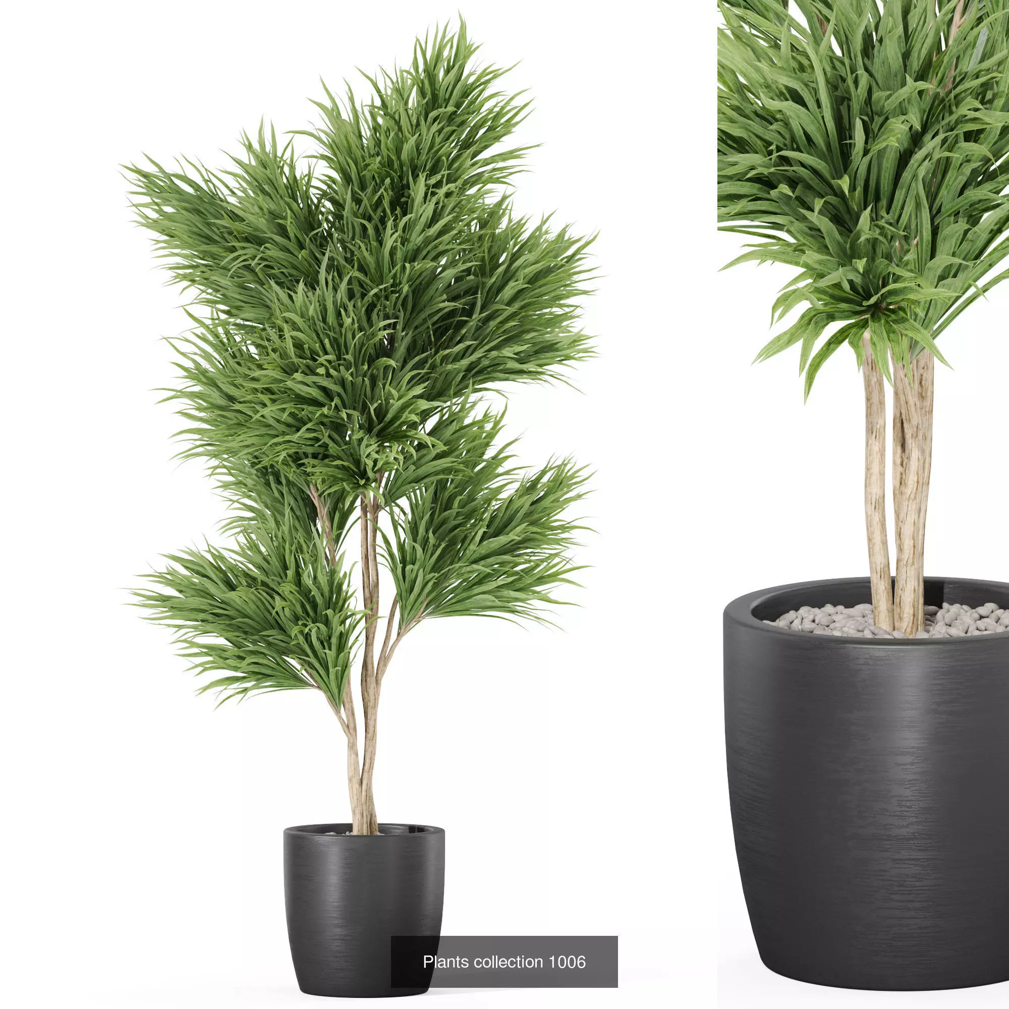 Plants collection vol 32 _4