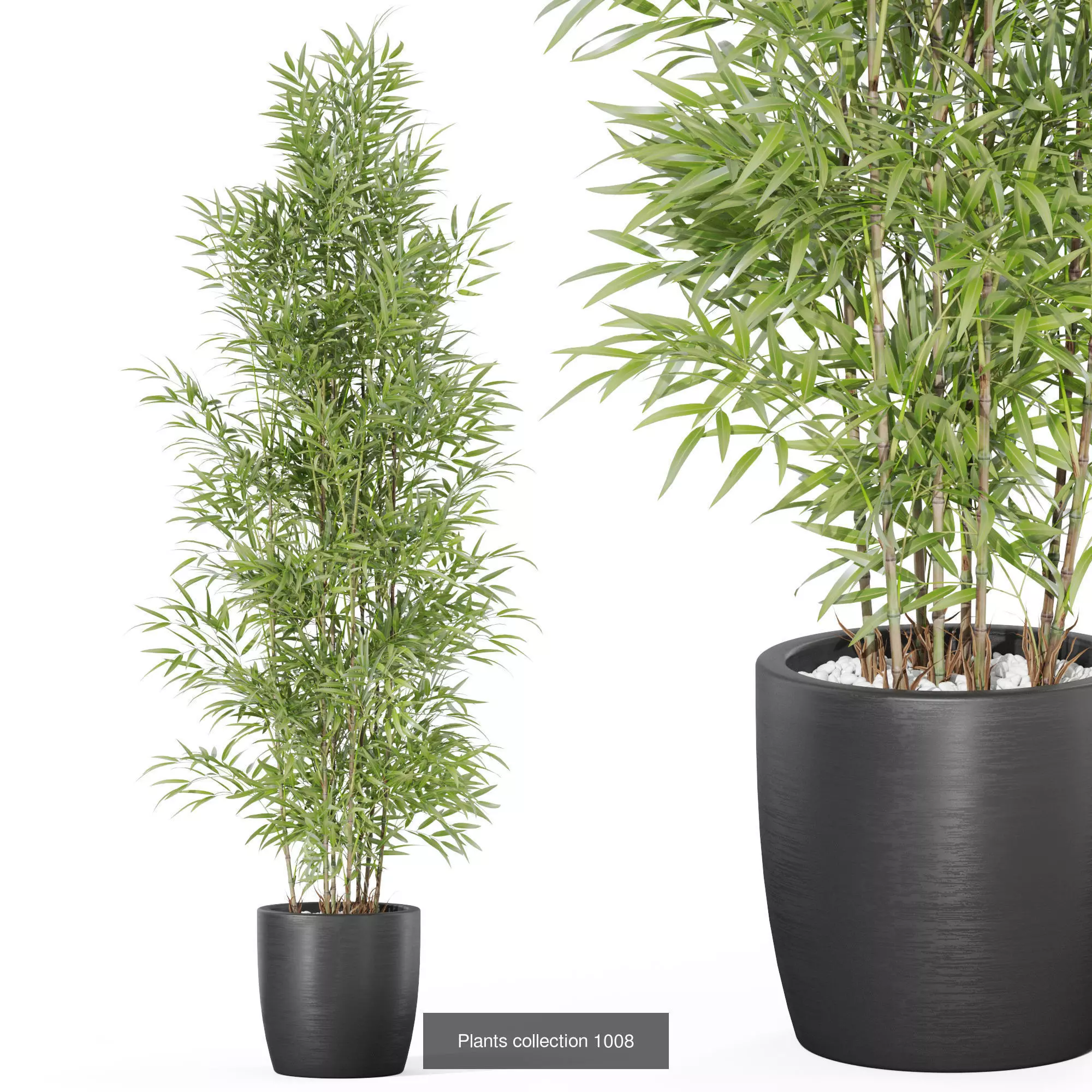 Plants collection vol 32 _6