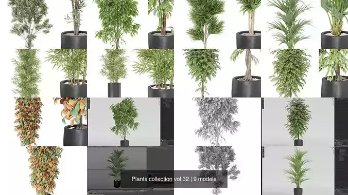 Plants collection vol 32