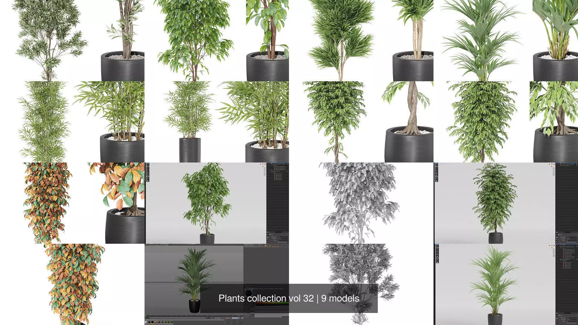 Plants collection vol 32 _1