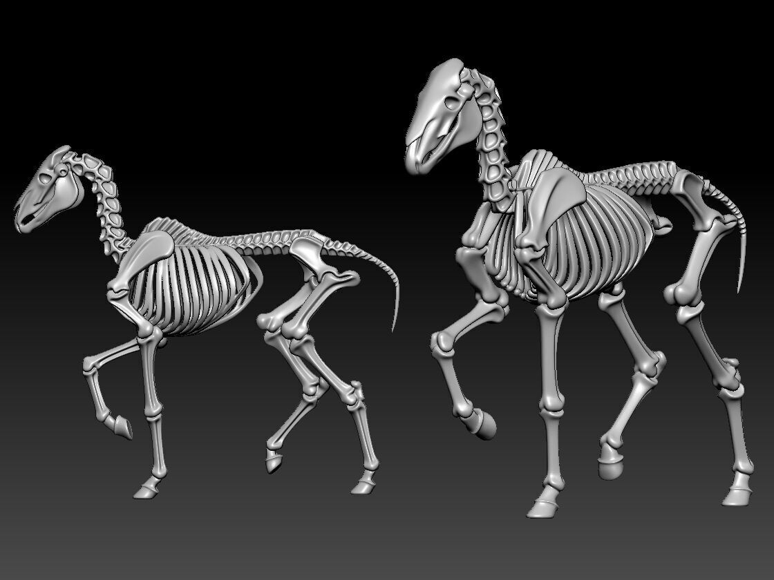 Horse Bones - Animal Bone Model - 3D print 3D print model_1