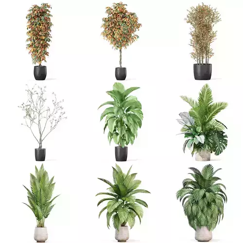 Plants collection vol 33 
