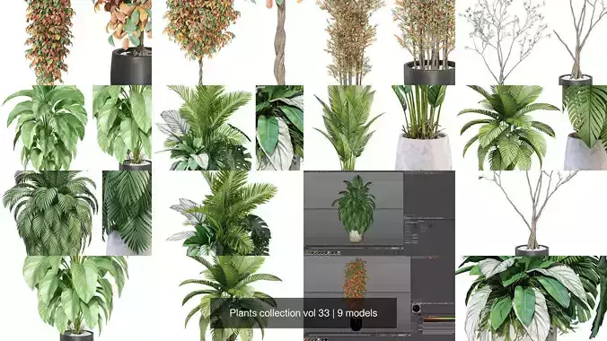 Plants collection vol 33
