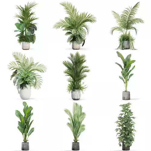 Plants collection vol 34 