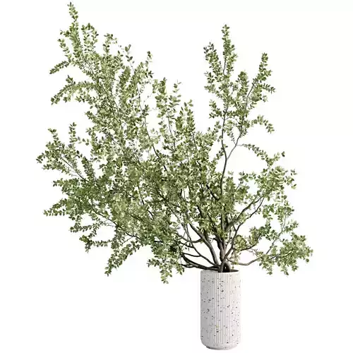branch Plant in a concrete vase - Bouquet 78
