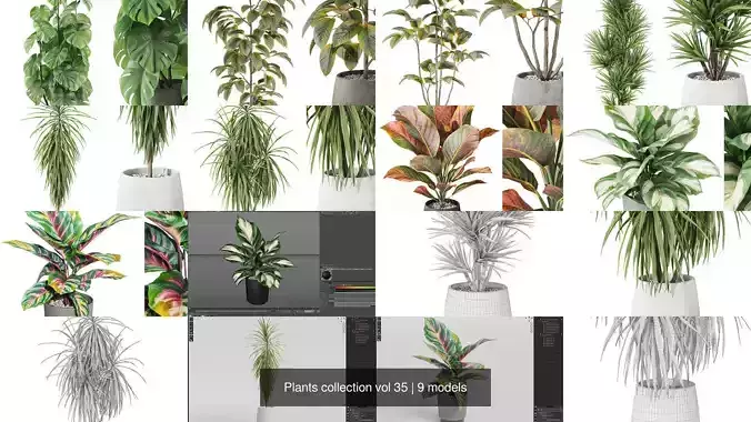 Plants collection vol 35