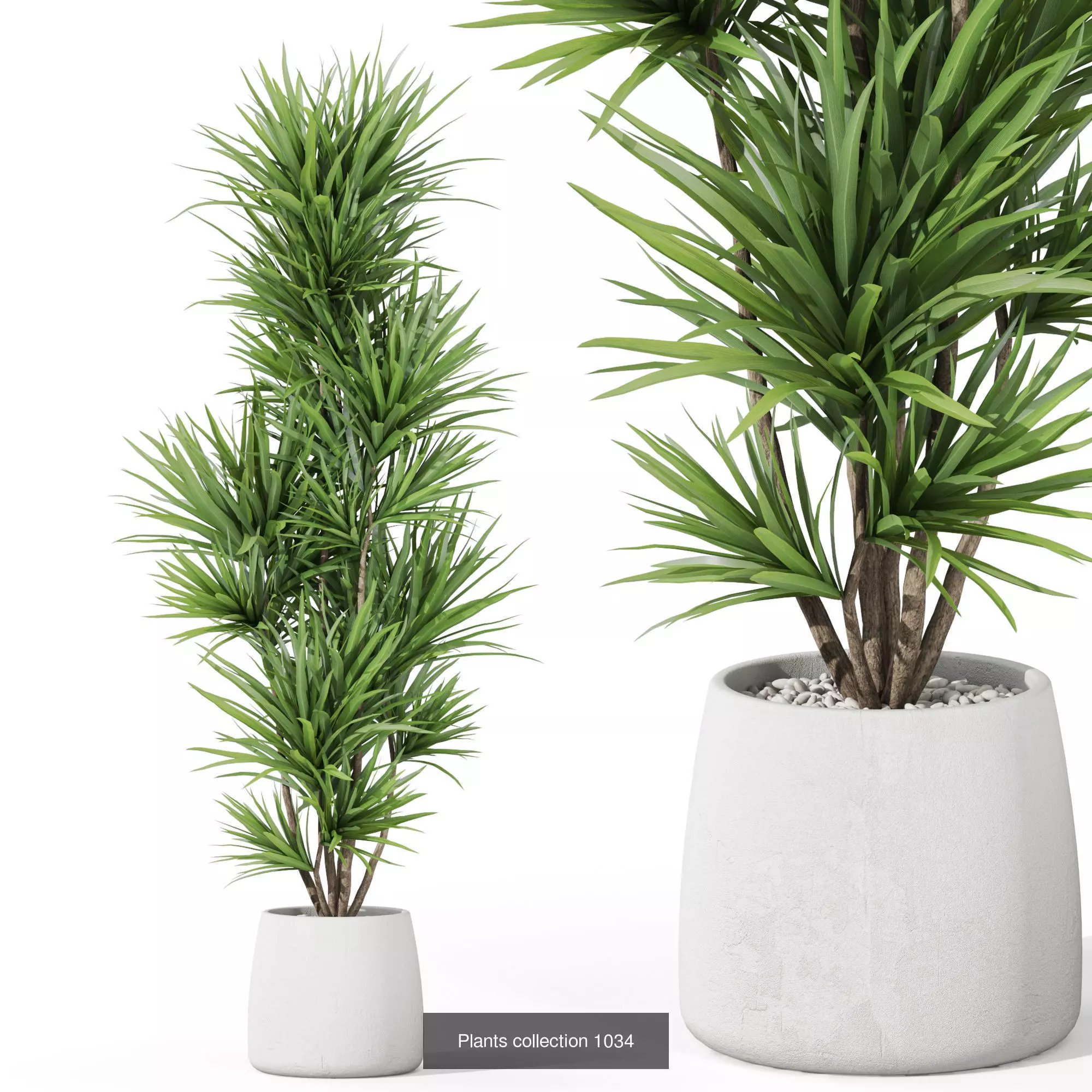 Plants collection vol 35 _5