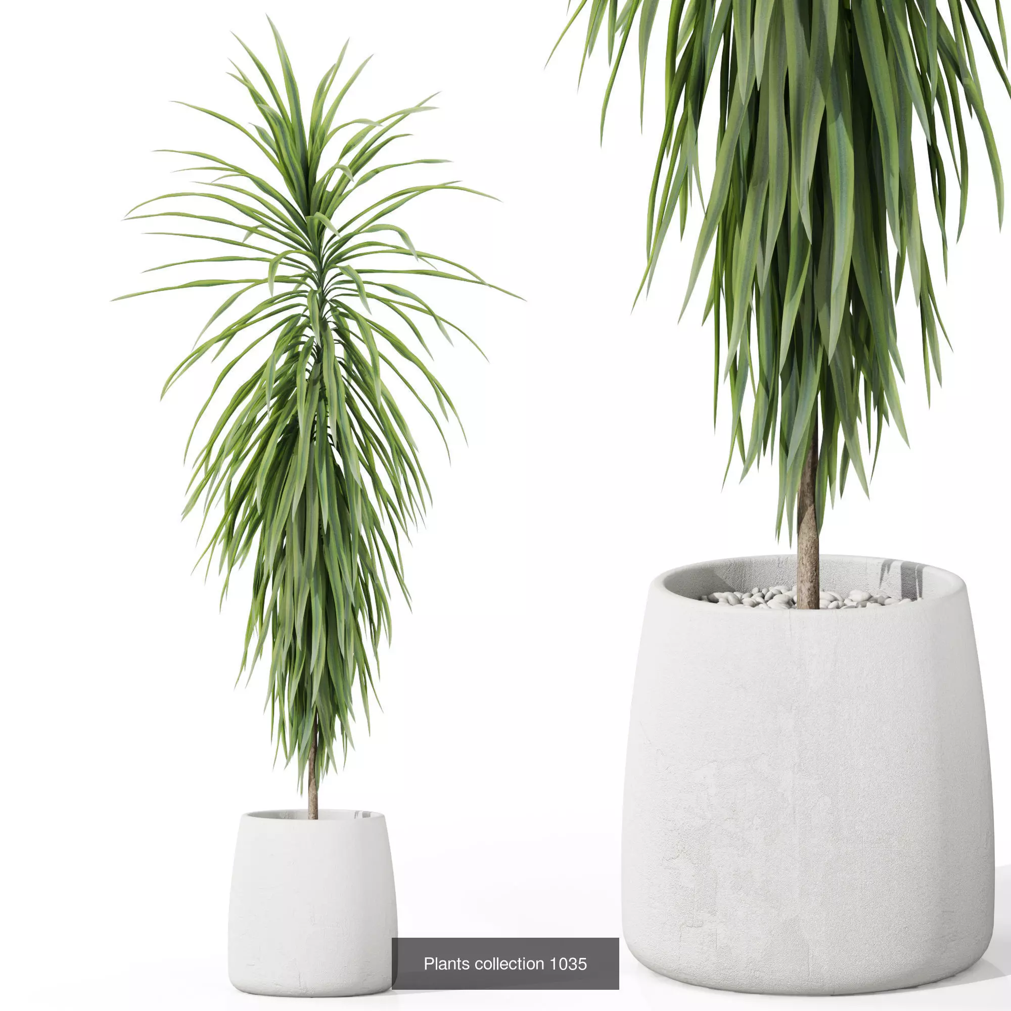 Plants collection vol 35 _6