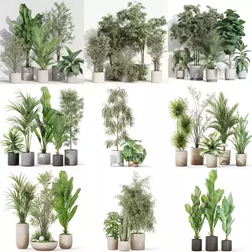 Plants collection vol 36 
