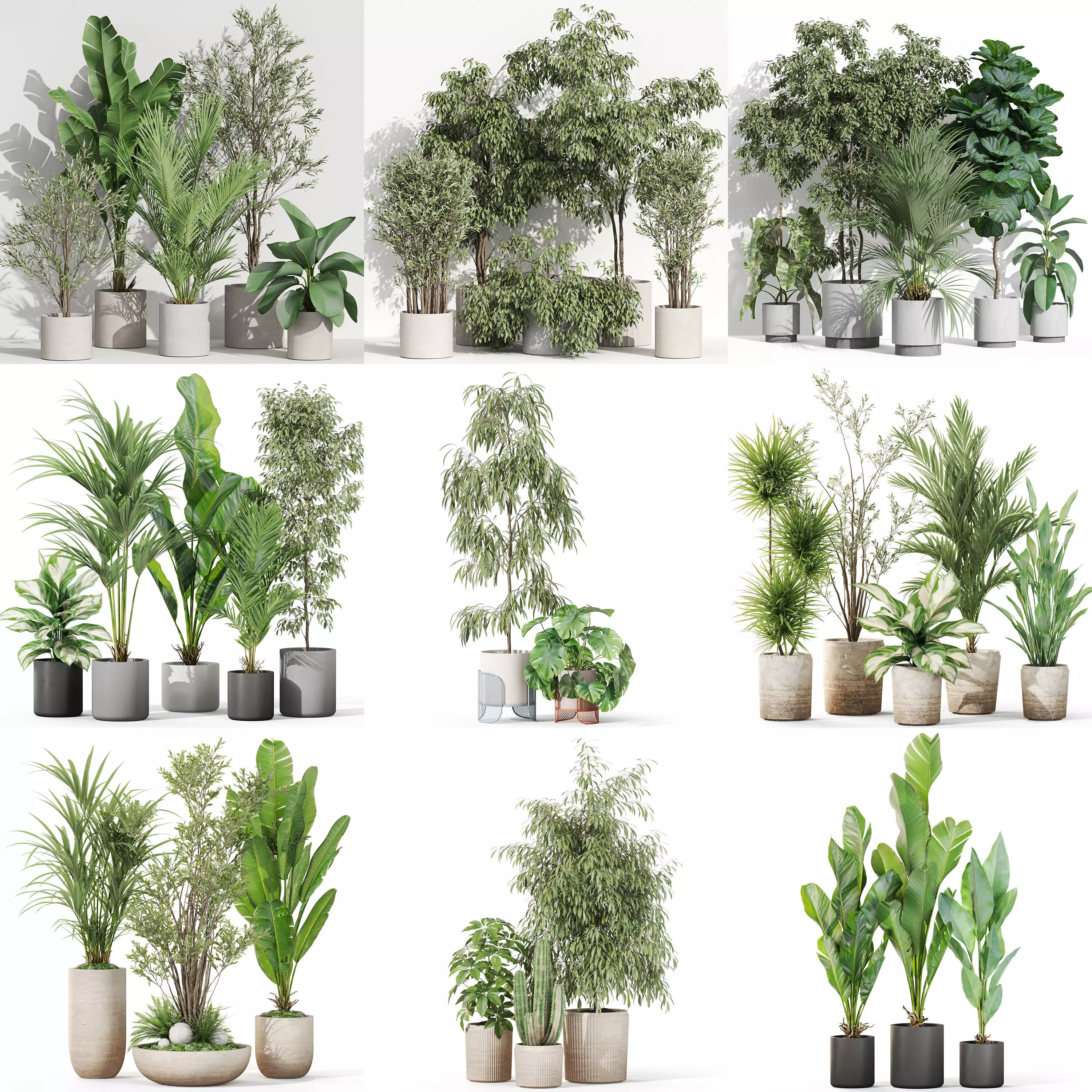 Plants collection vol 36 _0