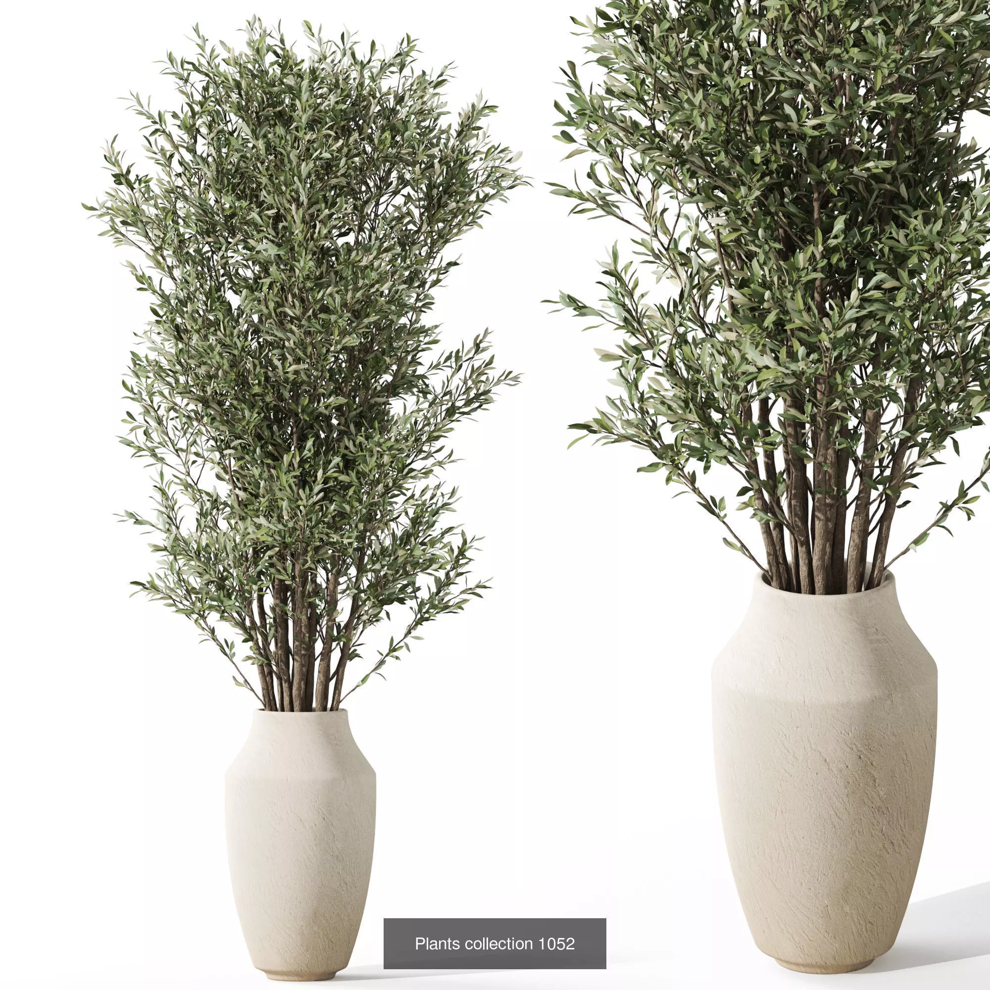 Plants collection vol 37 _9