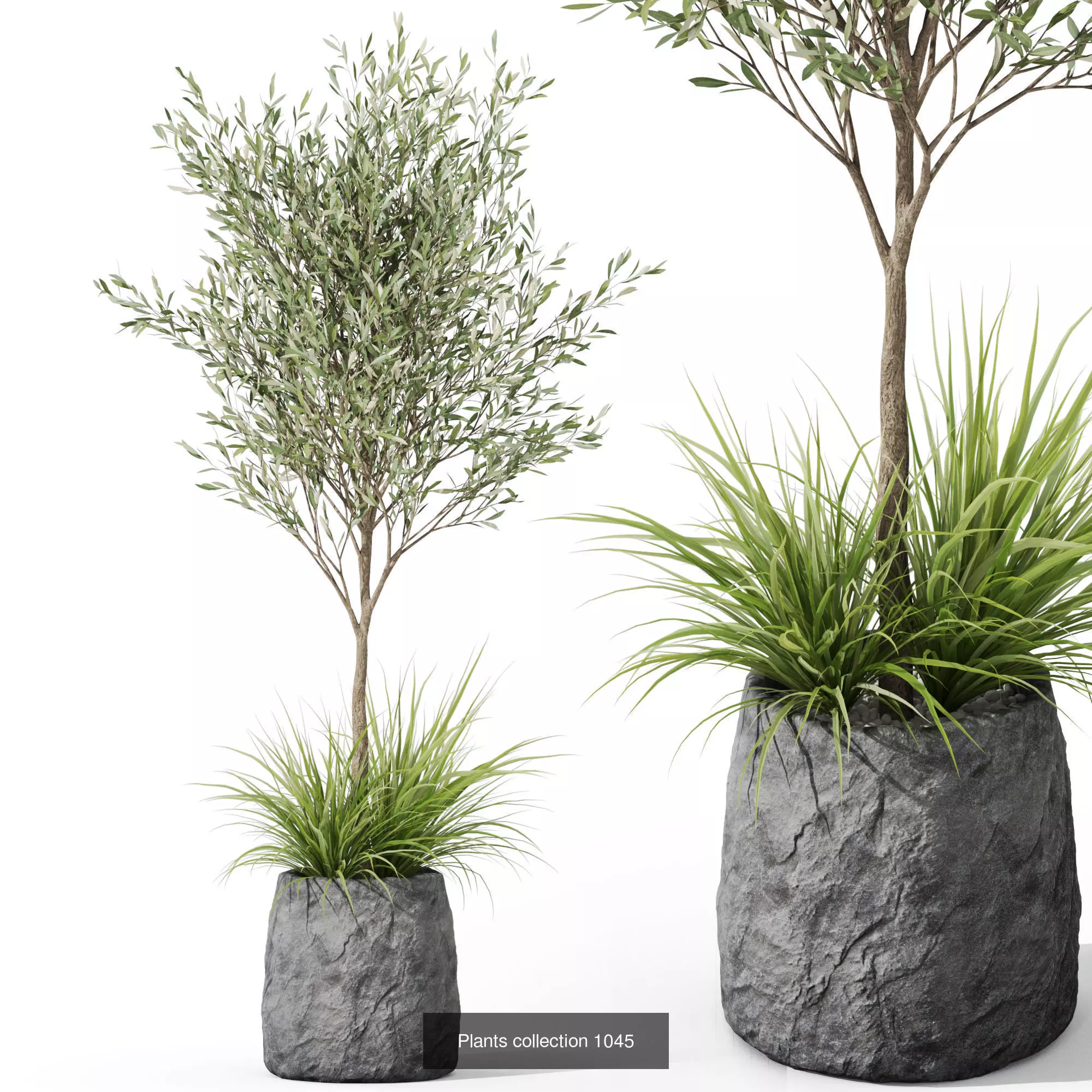 Plants collection vol 37 _4