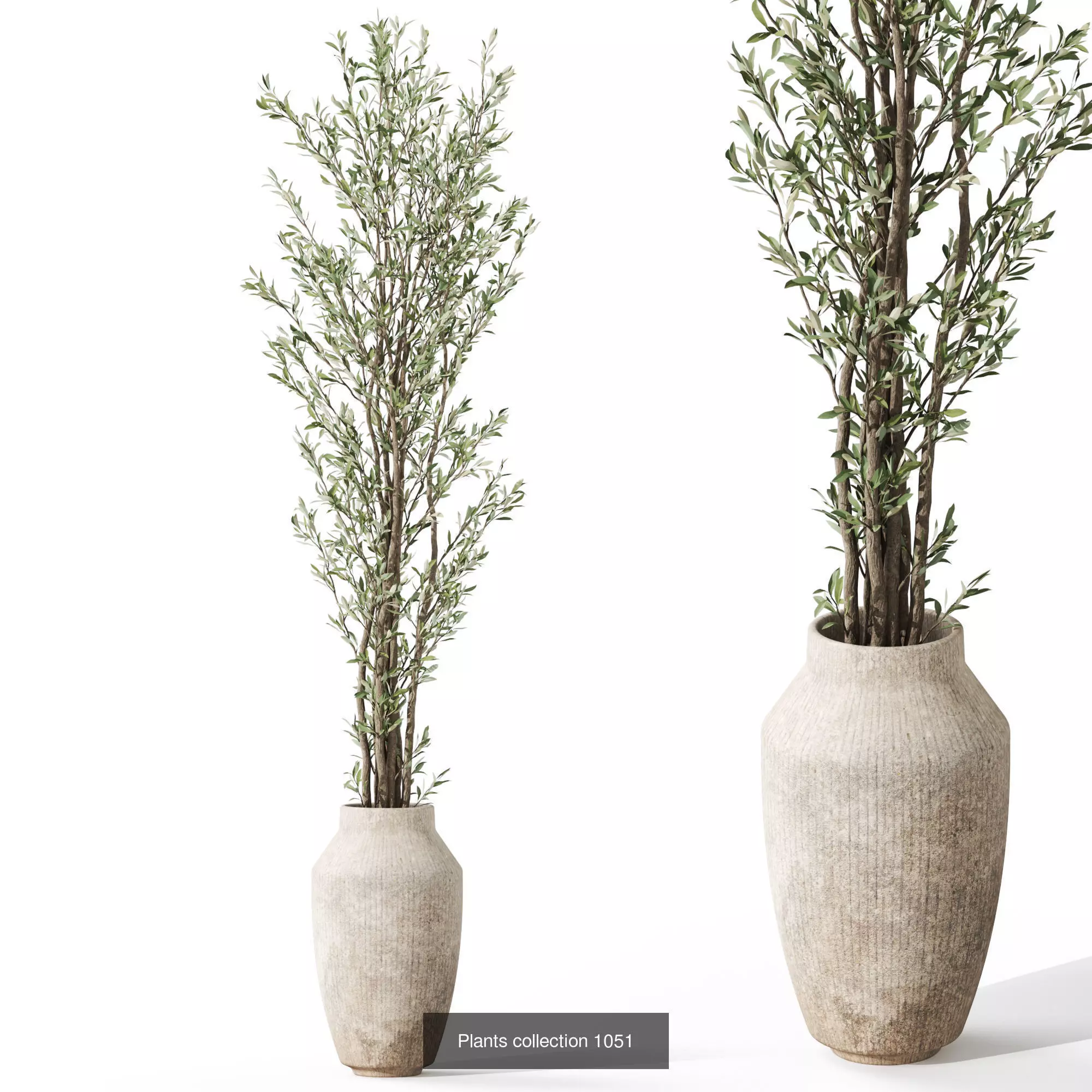 Plants collection vol 37 _8