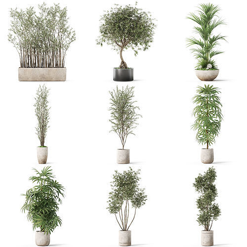 Plants collection vol 38 