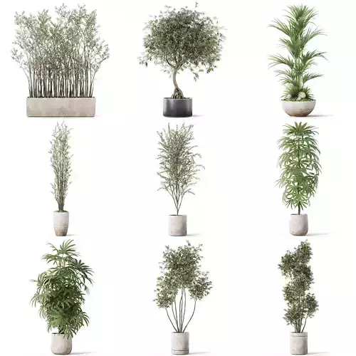 Plants collection vol 38