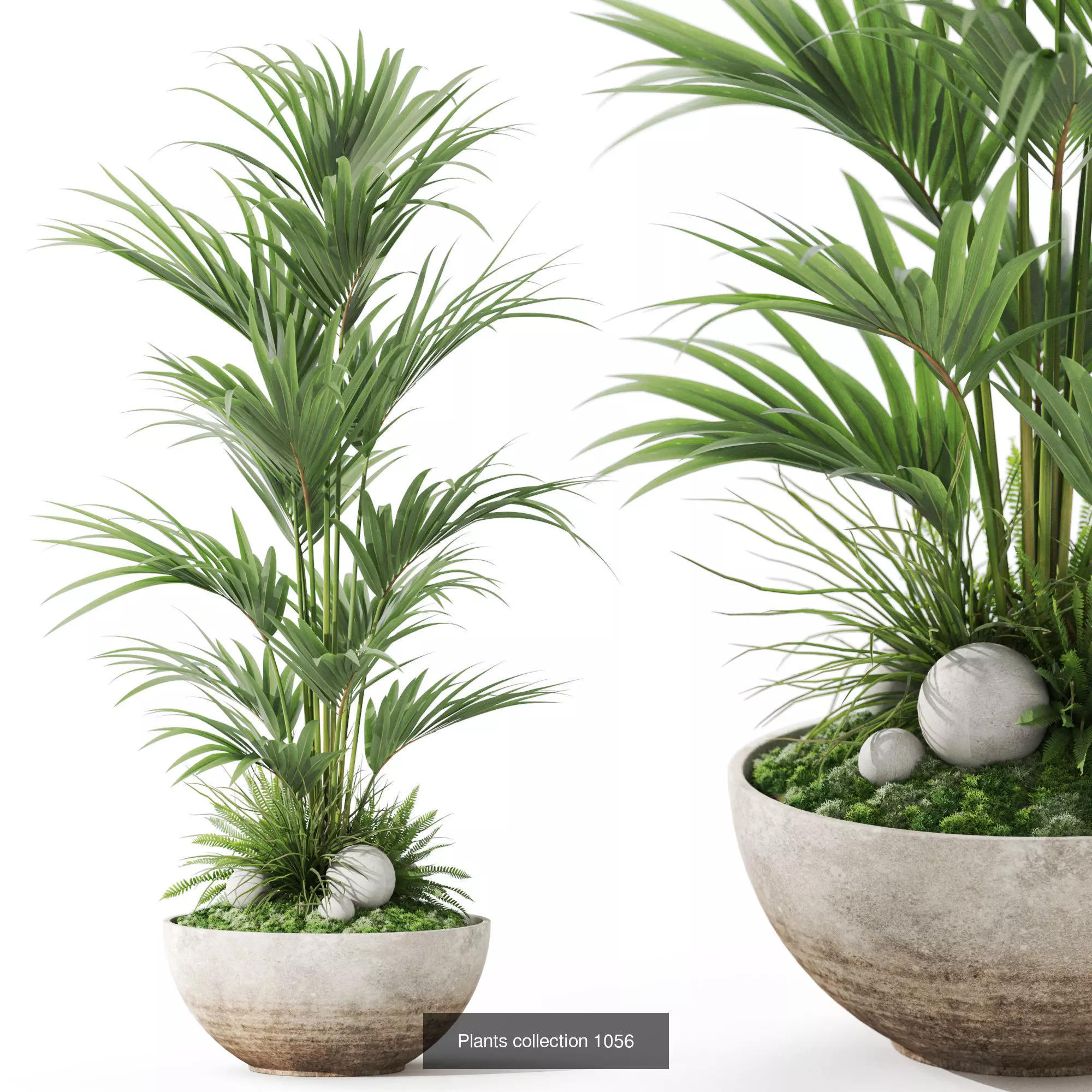 Plants collection vol 38 _4