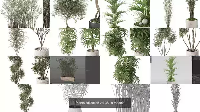 Plants collection vol 38