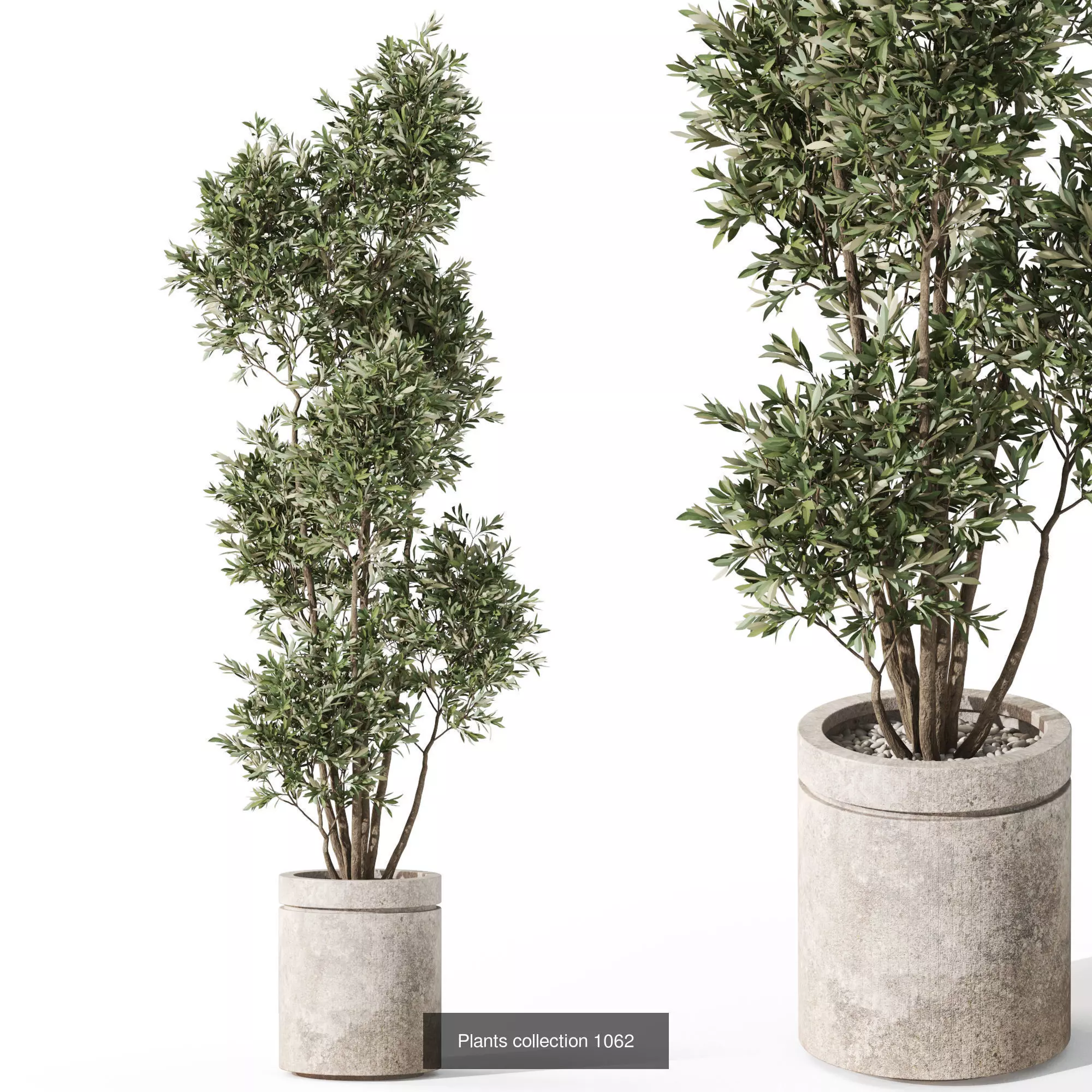 Plants collection vol 38 _10