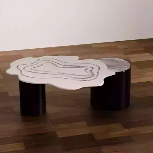 Modern Abstract Coffee Table