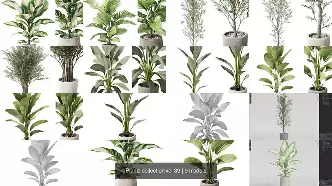 Plants collection vol 39