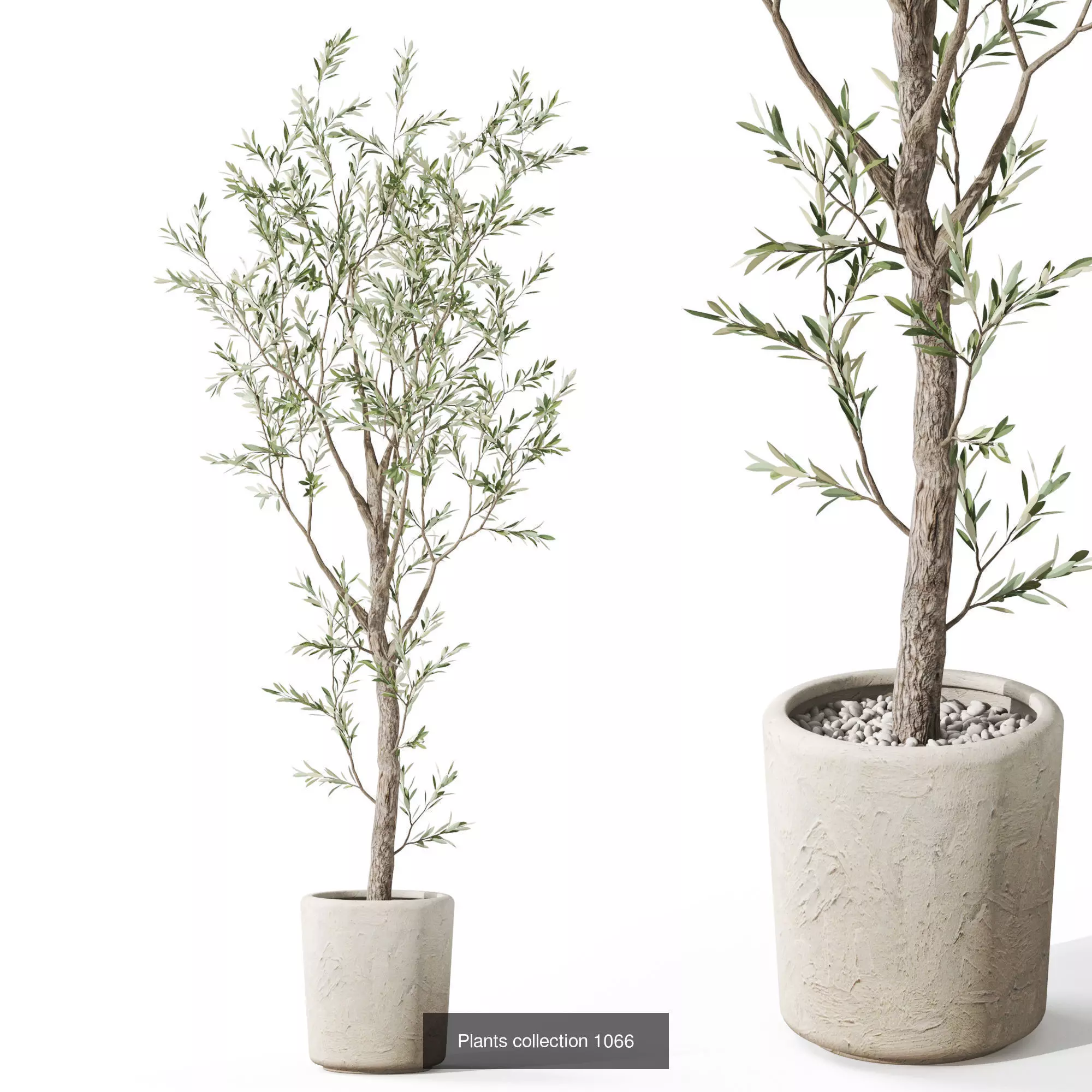 Plants collection vol 39 _5