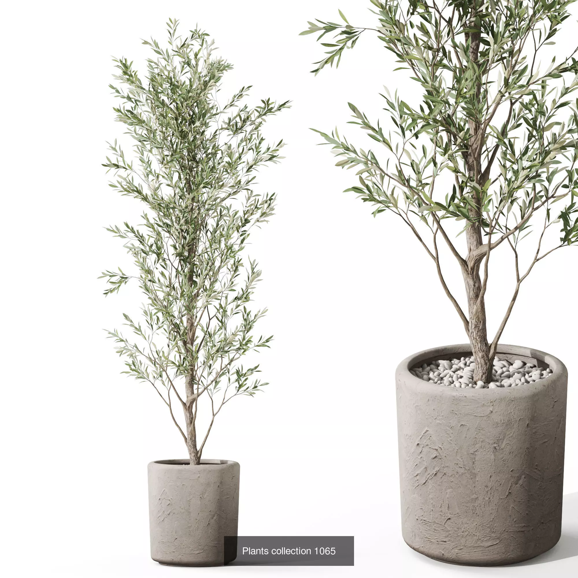 Plants collection vol 39 _4