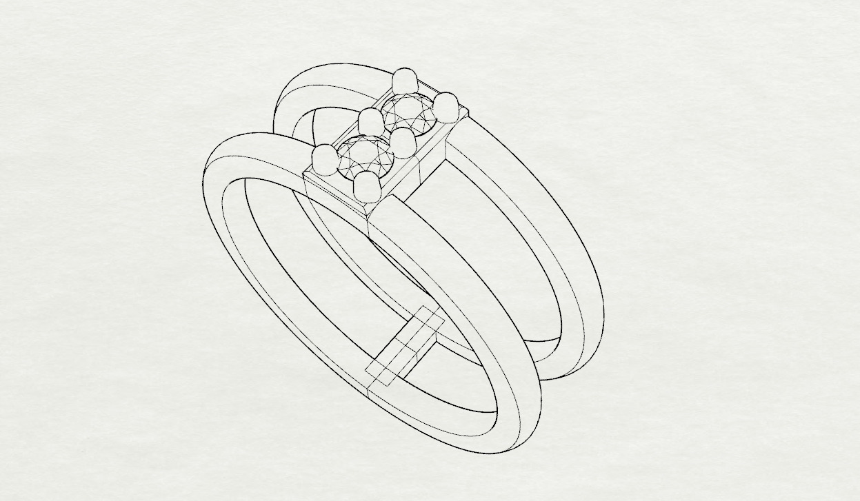 Double shank ring 3D print model_14