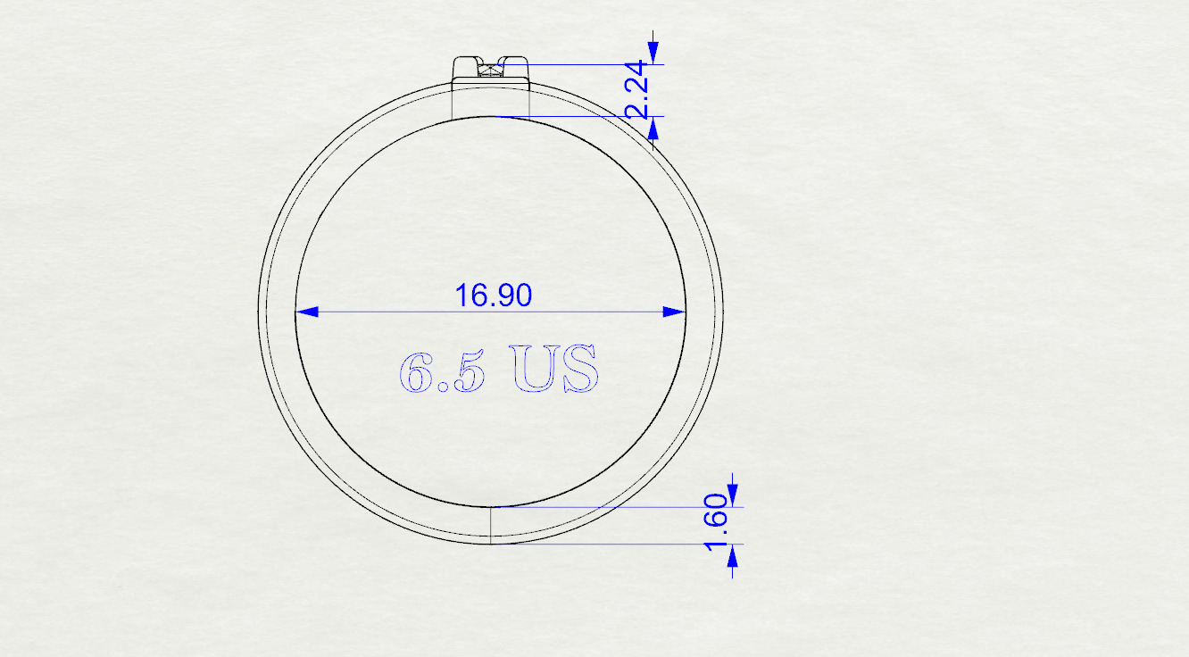 Double shank ring 3D print model_12