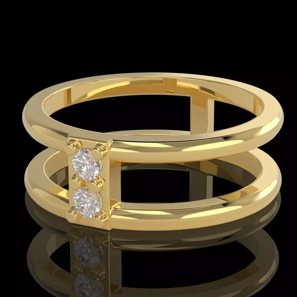 Double shank ring 3D print model_0