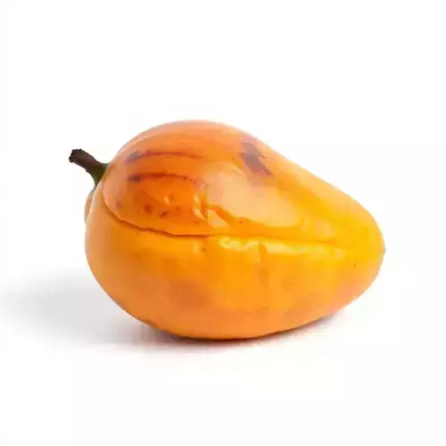 D Exotic Papaya Fruit Model Pack