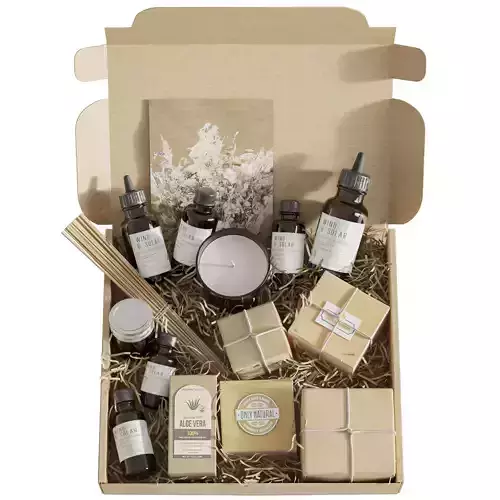 Gift set of cosmetics 3D model