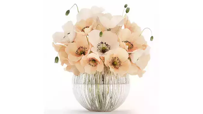 Beautiful Bouquet White Beige Wild Flowers Poppy 570