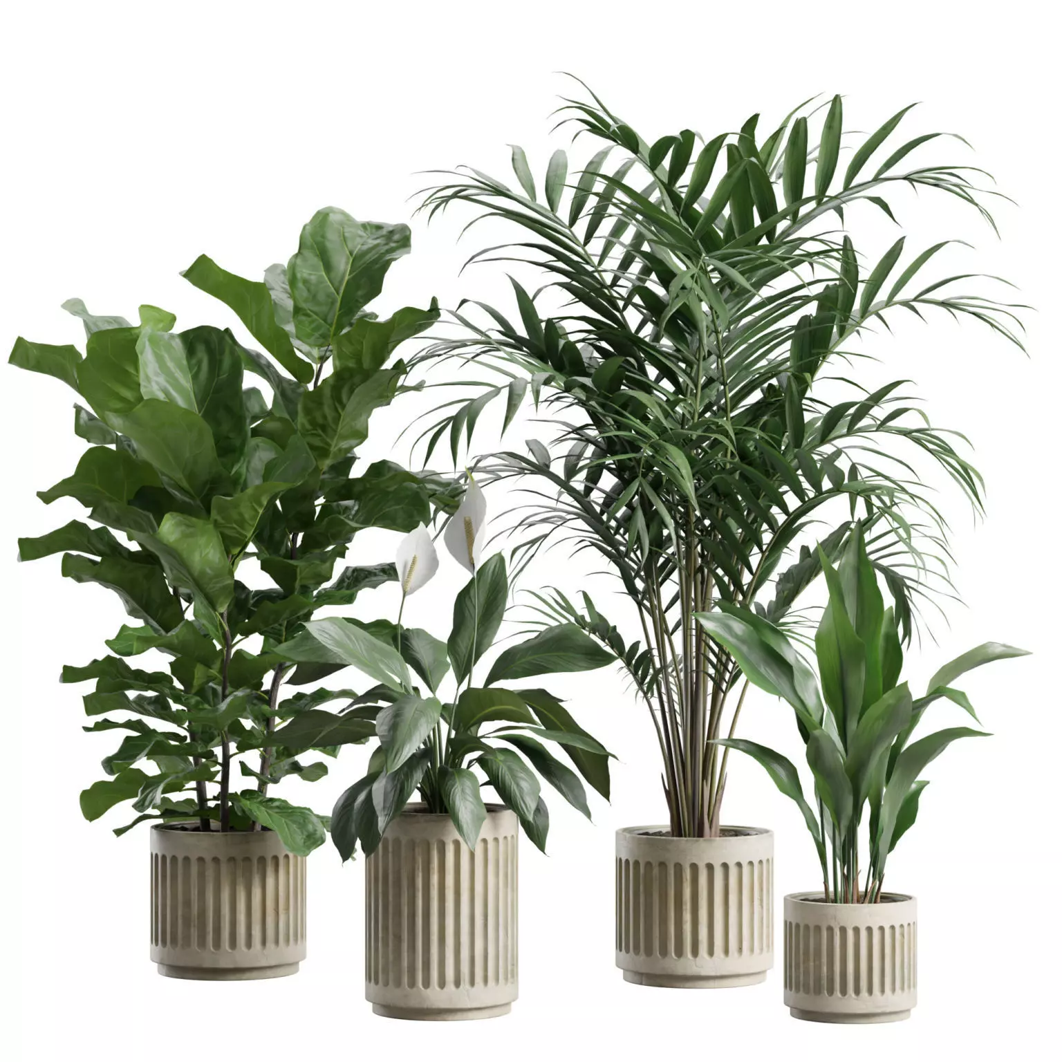Indoor Plants Pack 91 3D model
