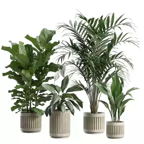 Indoor Plants Pack 91