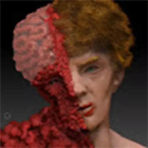 black heart Free low-poly 3D model_0