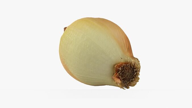 Photorealistic 3D scan of onion Low-poly 3D model 2