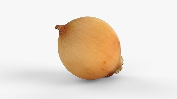 Photorealistic 3D scan of onion Low-poly 3D model 6