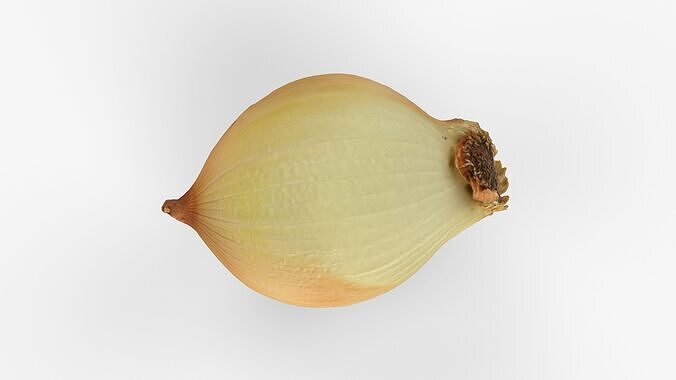 Photorealistic 3D scan of onion Low-poly 3D model 7