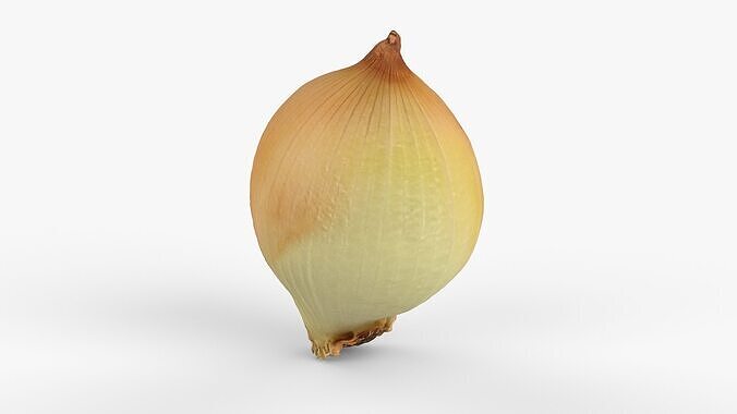 Photorealistic 3D scan of onion Low-poly 3D model 3