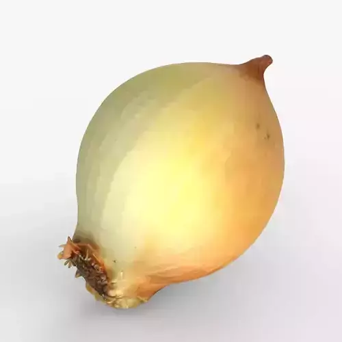 Photorealistic 3D scan of onion