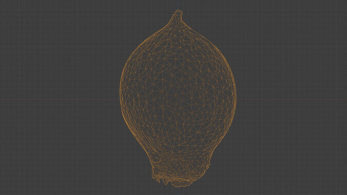 Photorealistic 3D scan of onion Low-poly 3D model 5