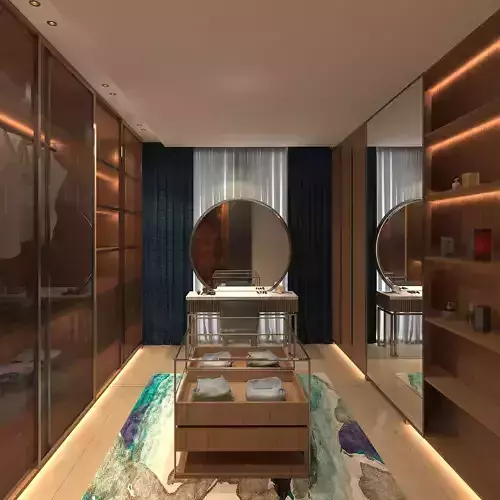 waik in wordrobe ds001