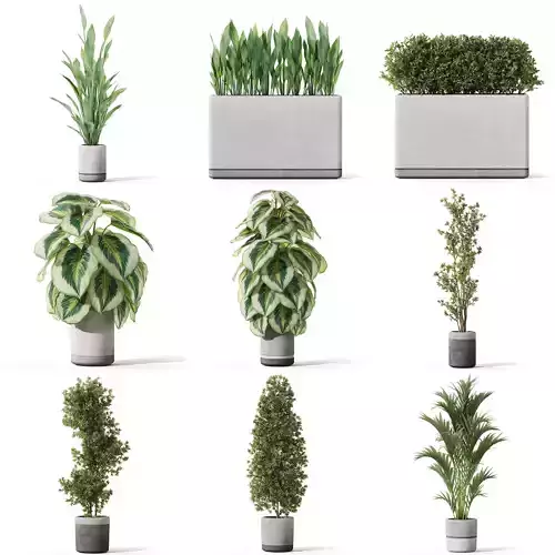 Plants collection vol 41 