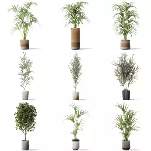 Plants collection vol 42 
