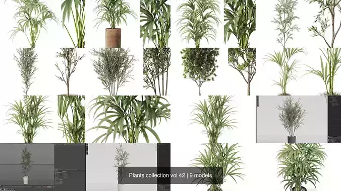 Plants collection vol 42