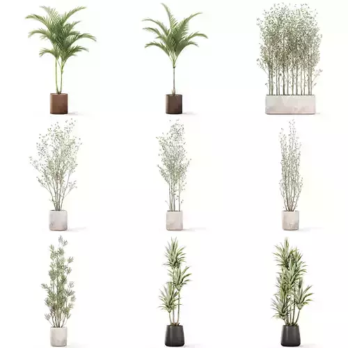 Plants collection vol 43 